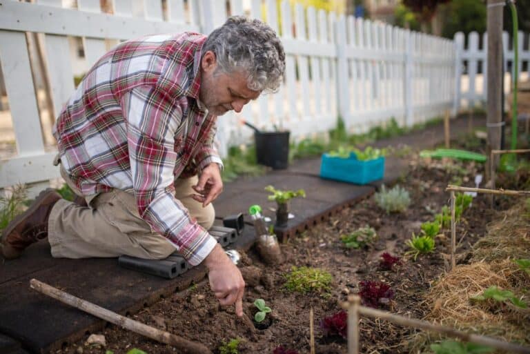 Cultivating Green Spaces in Assisted Living